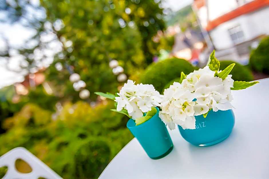 Boutique-Hotel Villa Anna