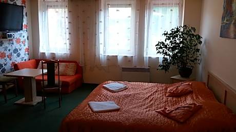 Business Double Room with Gym Access