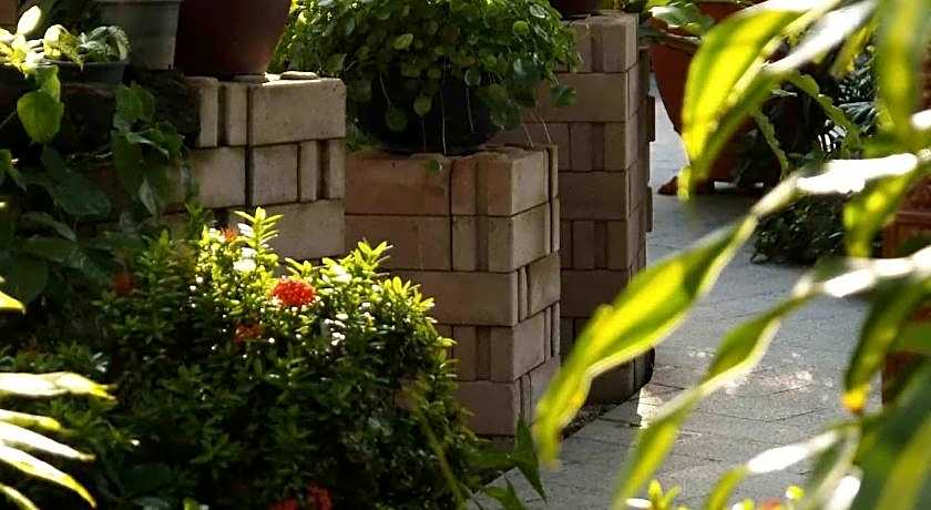 Safari Beach Hotel - SHA Extra Plus