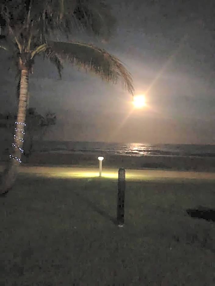 San Simeon Beachfront Apartments Tugun