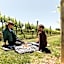 Tuileries at De Bortoli Rutherglen