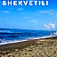 GiNa Shekvetili