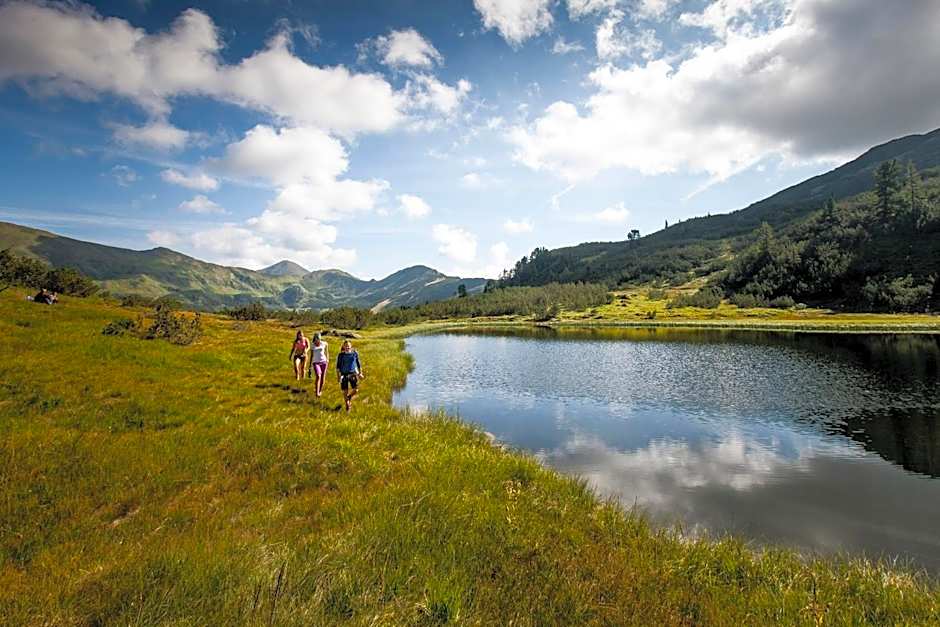Alpengasthof Grimmingblick