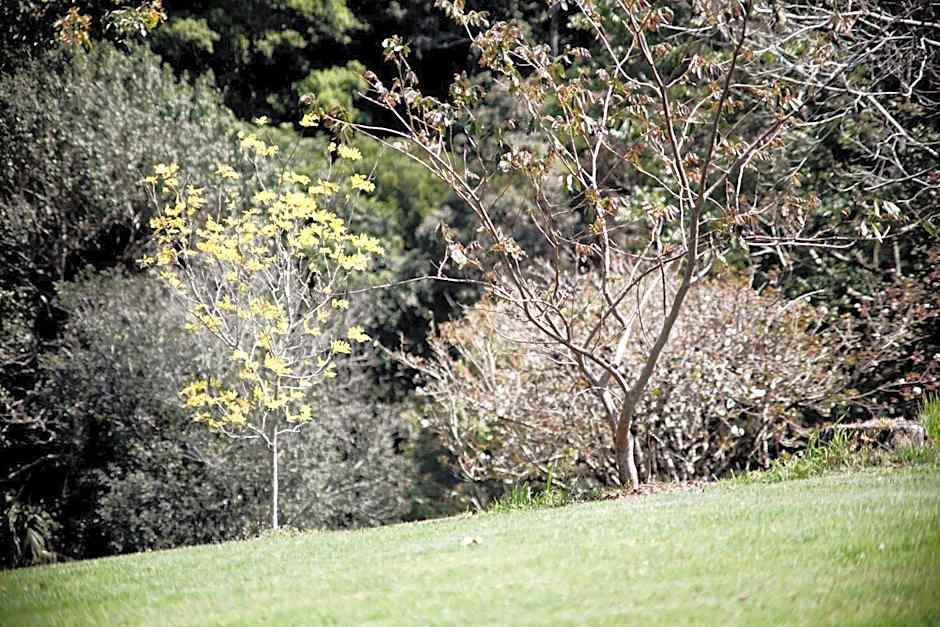 Mt Glorious Getaways