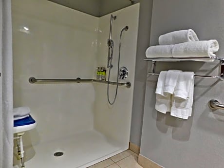 King Room - Hearing Accessible - Roll-in Shower/Non-Smoking