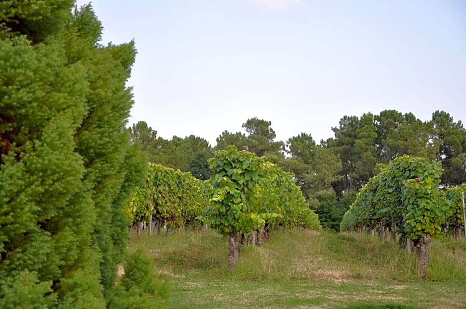 Domaine de Paguy