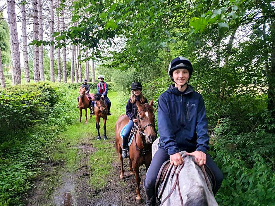 Ferme équestre & Chambres d'hôtes Gateau Stables proche Guédelon