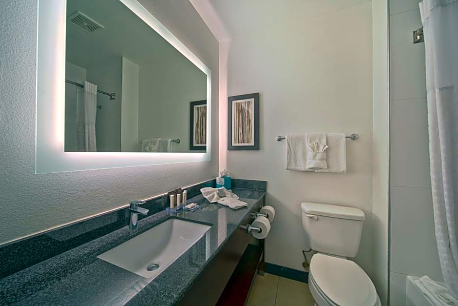 Wingate by Wyndham Round Rock Hotel & Conference Center