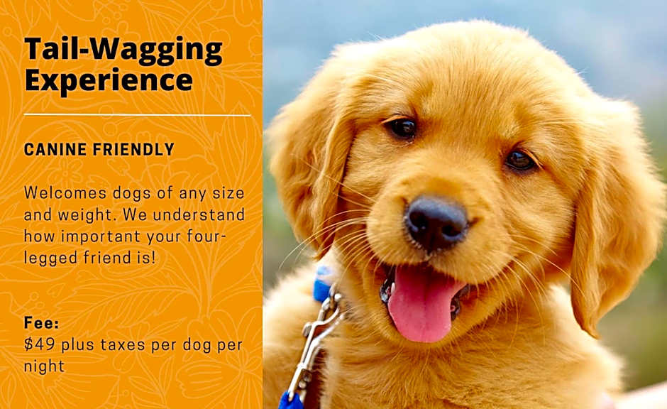 Old Stone Inn Boutique Hotel