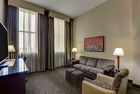 Superior King Suite with Sofa Bed