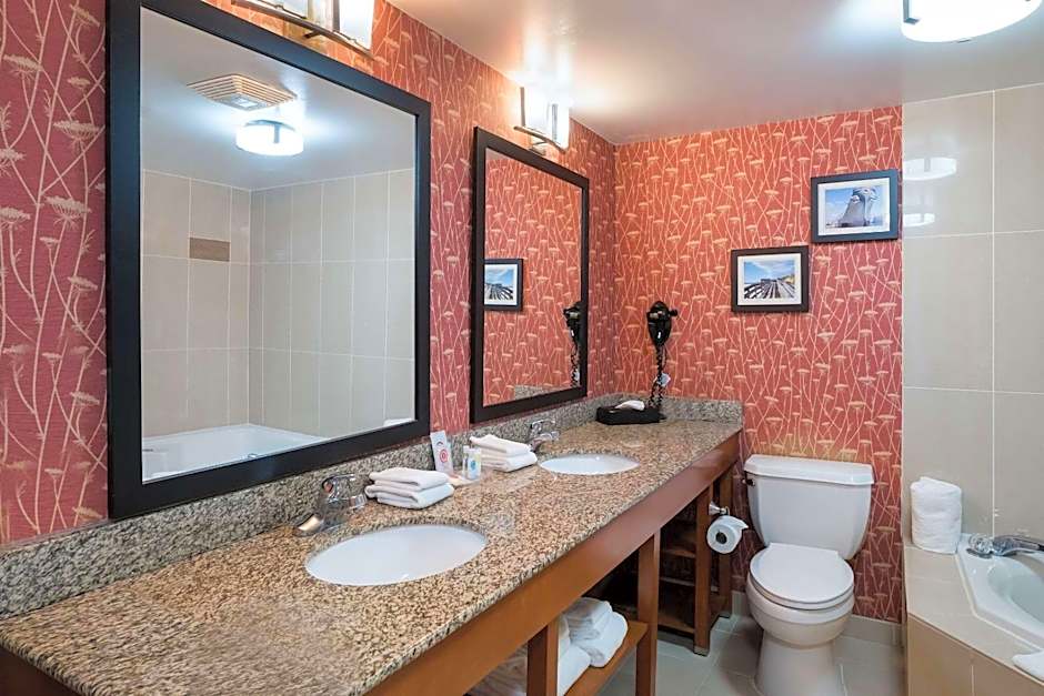 Comfort Suites Suffolk - Chesapeake