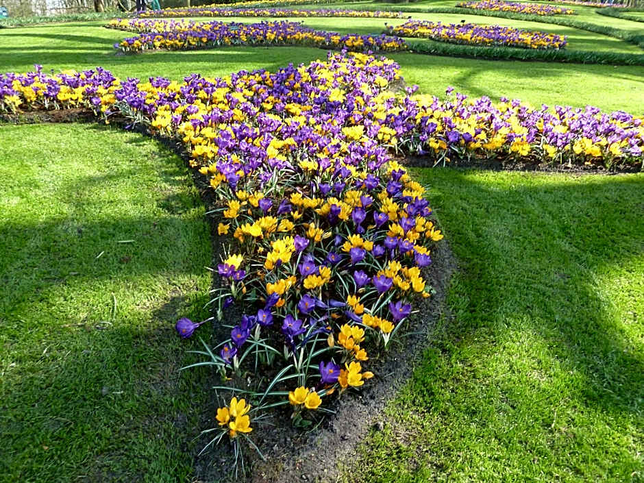 Nicolette Apartments