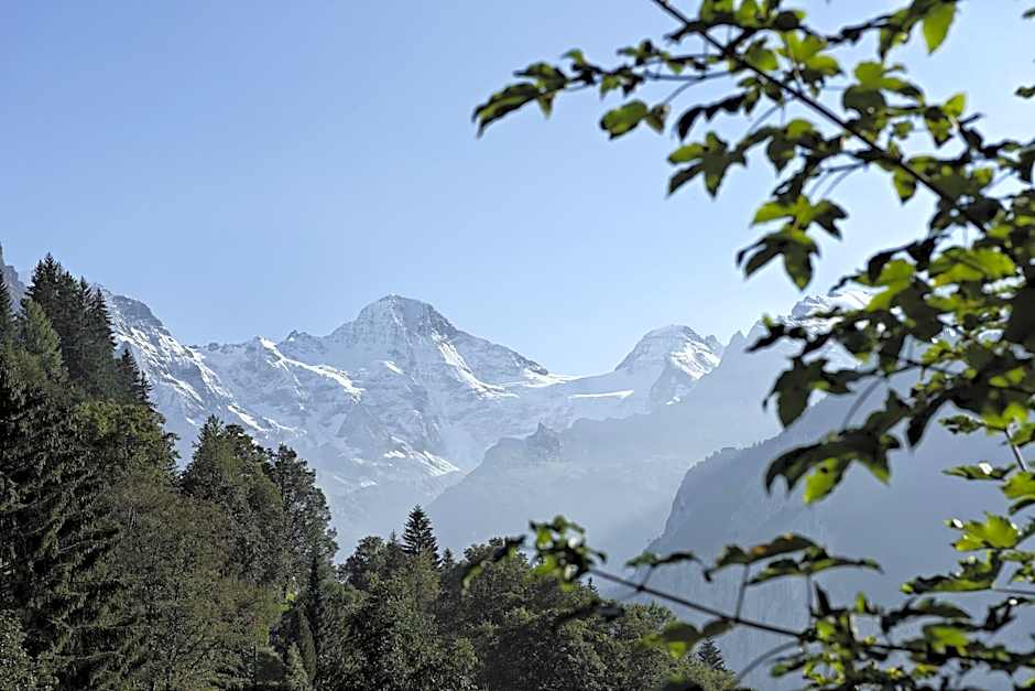 Hotel Alpenrose Wengen - a family affair since 1881