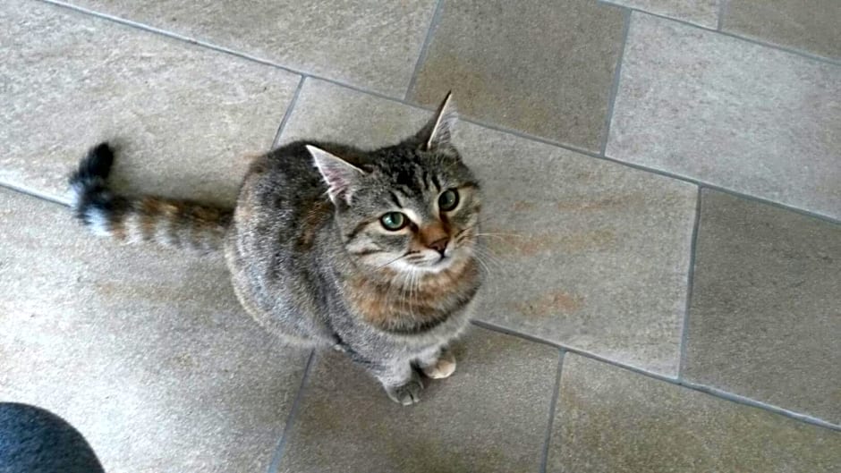 B&B La Casa in Collina