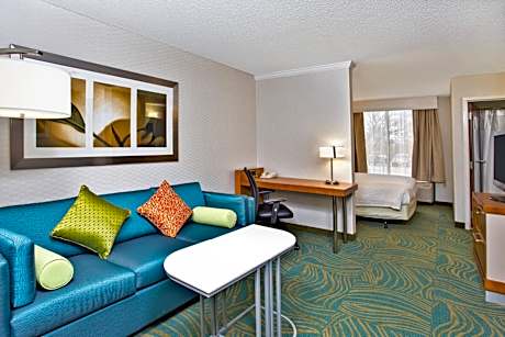 King Suite with Sofa Bed