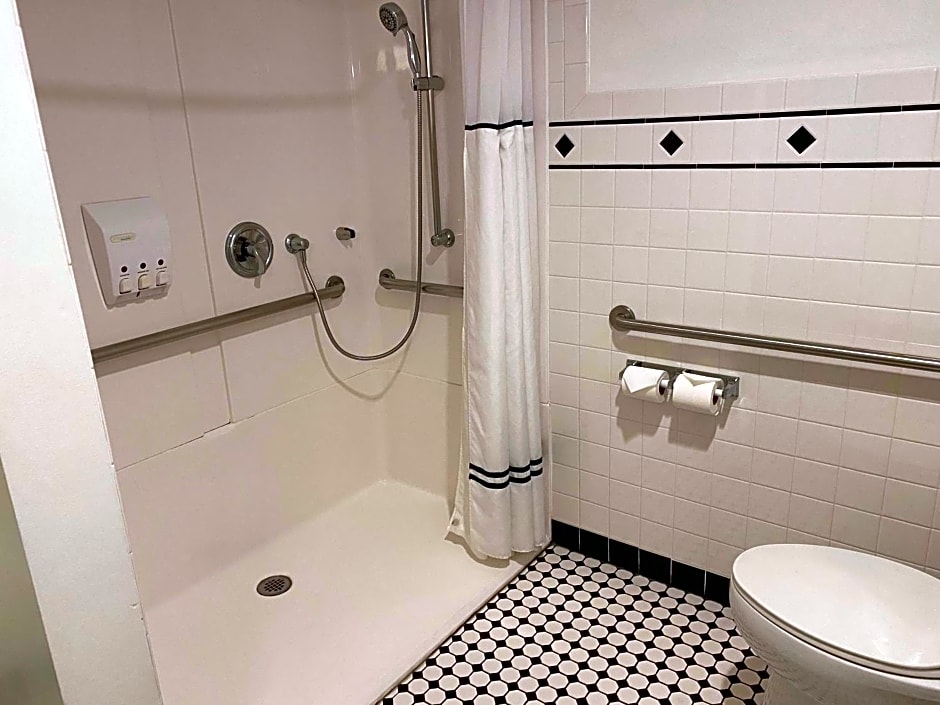 Best Western Chicago Downtown-River North