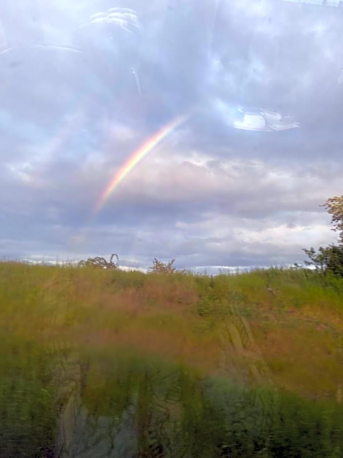 Waldwerk Wurlgrund Lychen