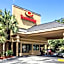 Econo Lodge Palm Coast Central