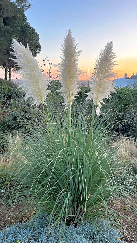 Villa Ada-Trulli Puglia