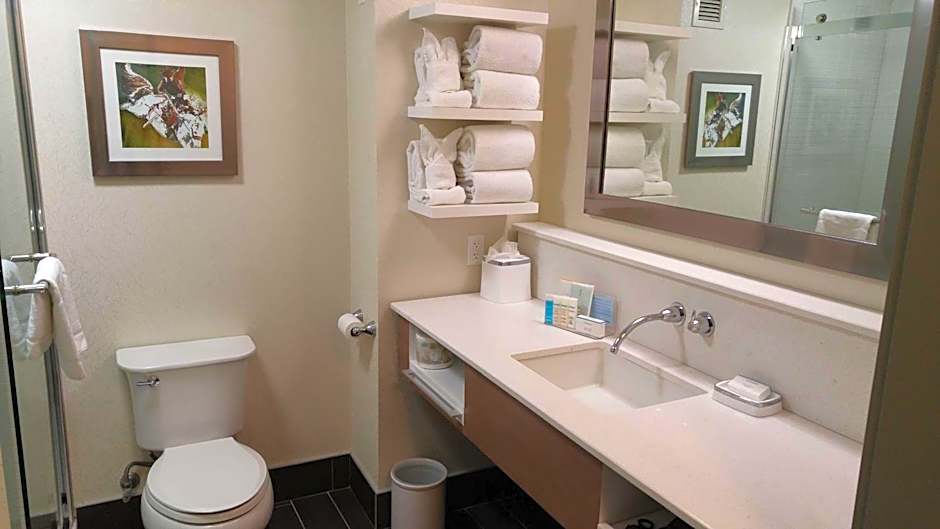 Hampton Inn & Suites By Hilton Calgary University Northwest
