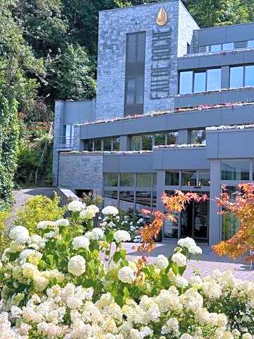 Hôtel WELLNESS EAU DE ROCHE Durbuy