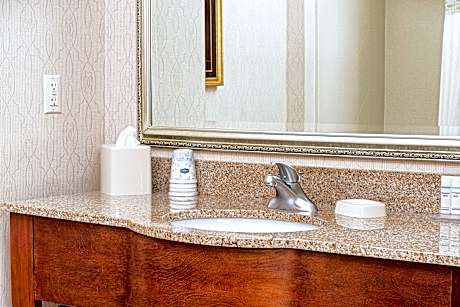 1 King Bed 1 Bedroom Suite Nonsmoking