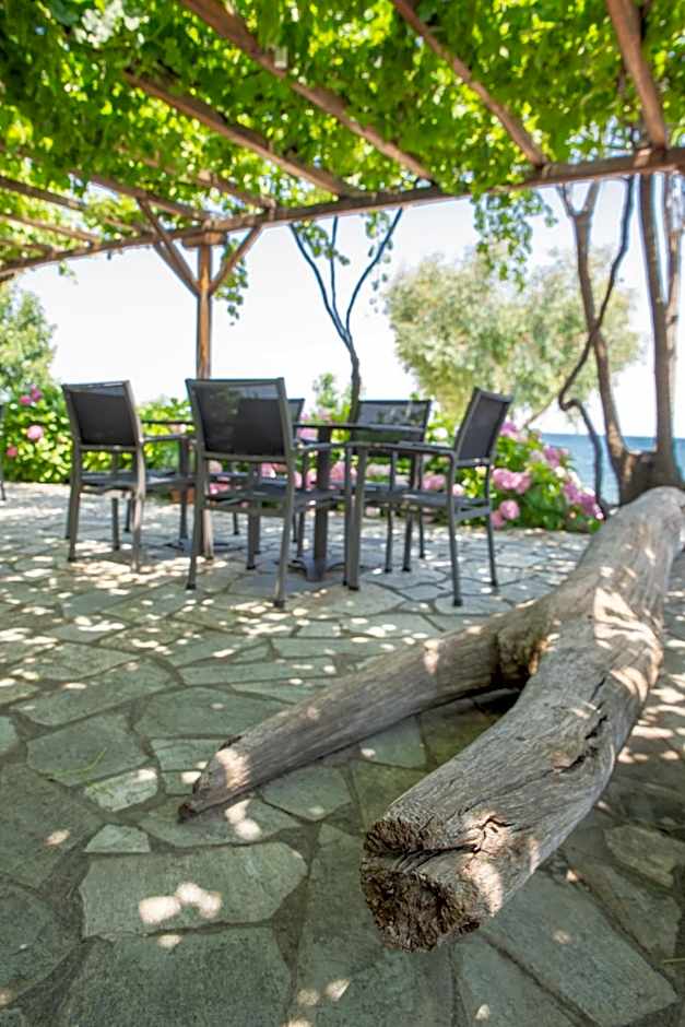 Hotel Cleopatra