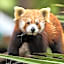 Hotel Selwo Lodge - Animal Park Tickets Included
