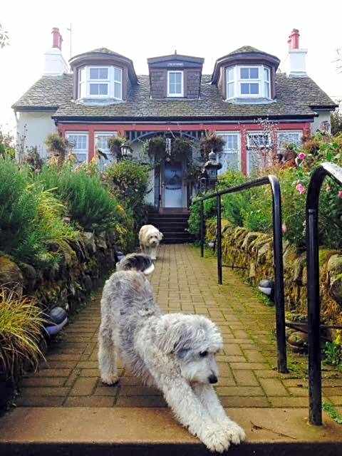 The Moorings