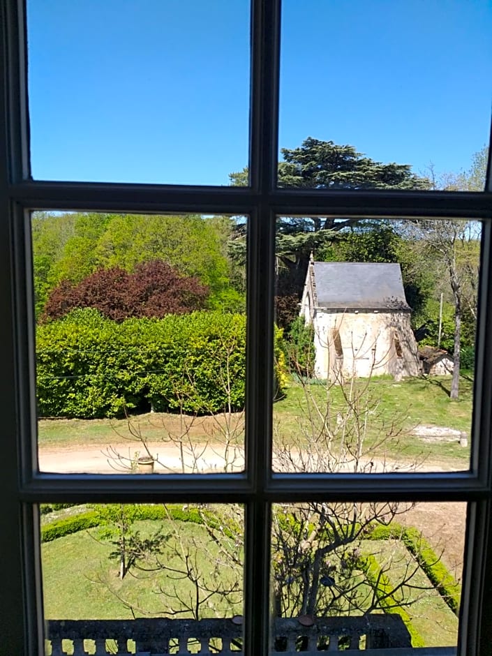 Chateau du Guerinet D'Orchaise