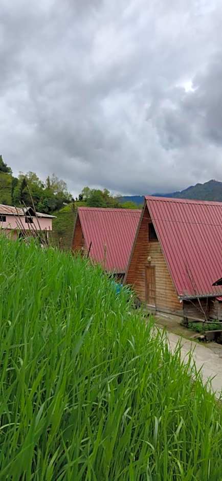 Begi Apart Bungalows Hotel - Çamlıhemşin