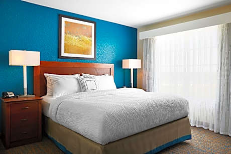 Studio Suite, 1 King Bed with Sofa bed (1 King Bed and 1 Double Sofa Bed)