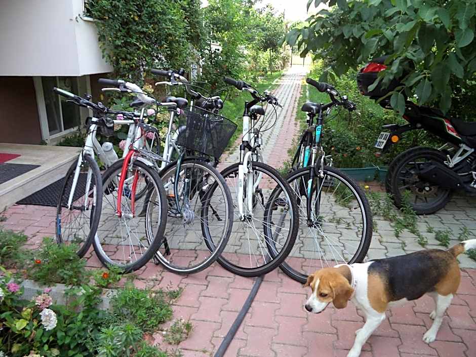 Karaagac Green Edirne