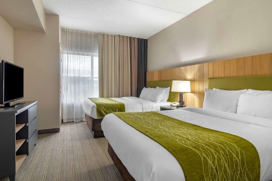 Comfort Inn & Suites Calhoun South