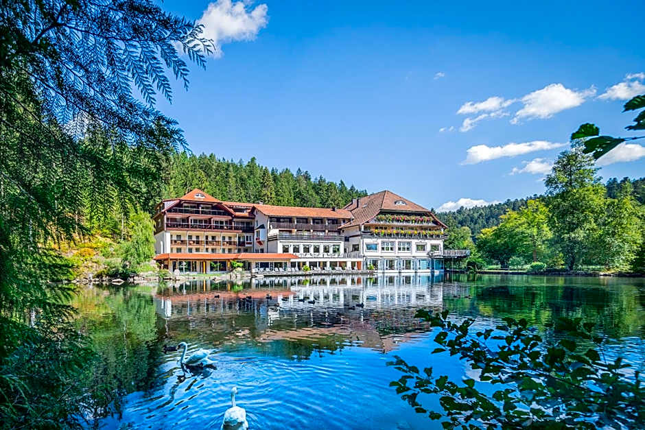 Hotel Langenwaldsee