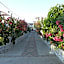Eden Beach Hotel