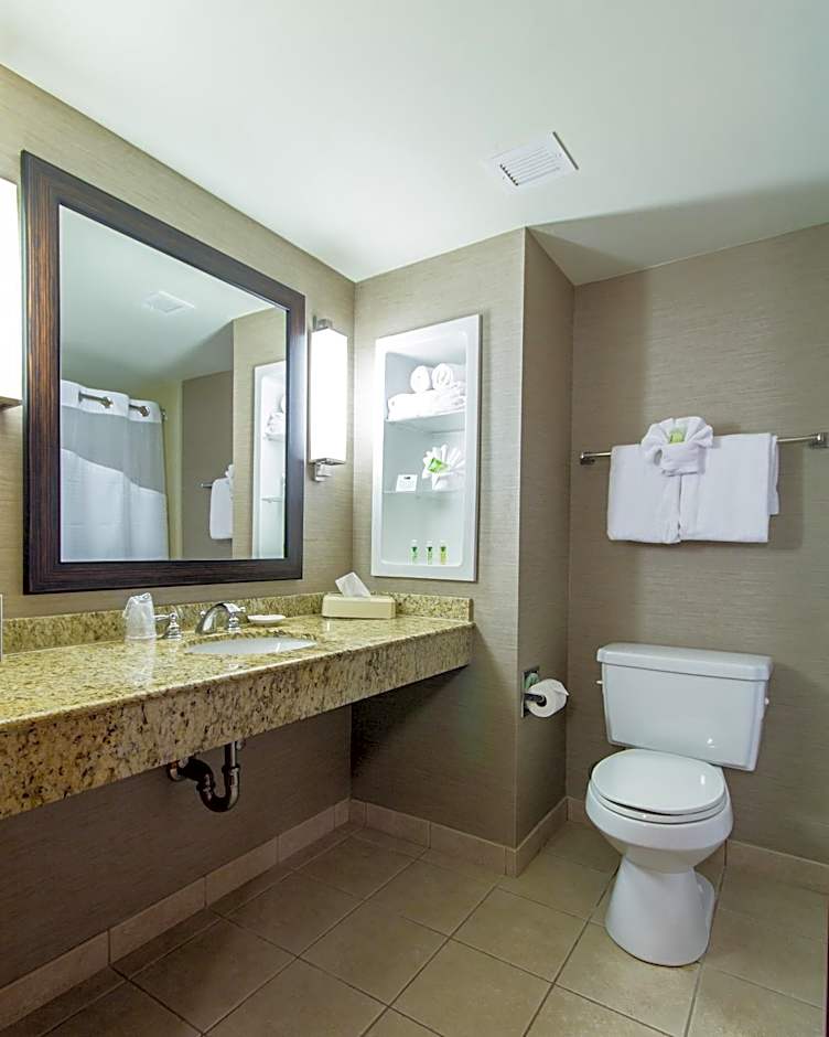 Holiday Inn Express Hotel & Suites Auburn By IHG