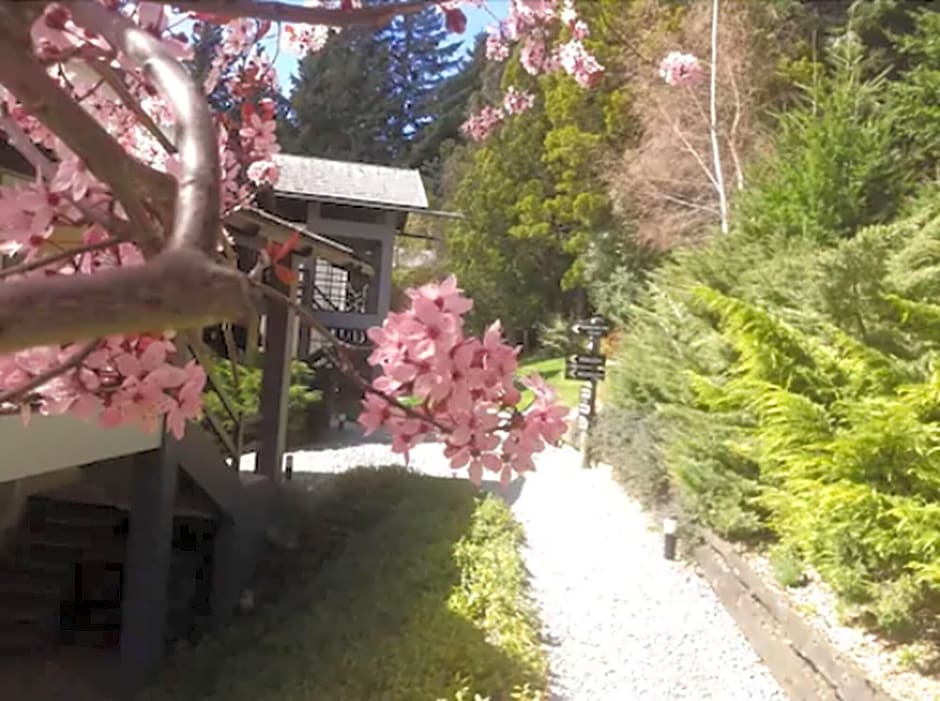 Aldea Andina Hotel&Spa