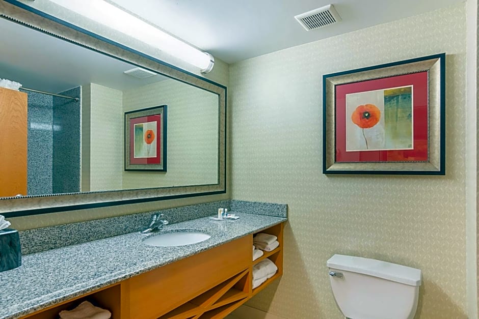 Comfort Suites at Virginia Center Commons