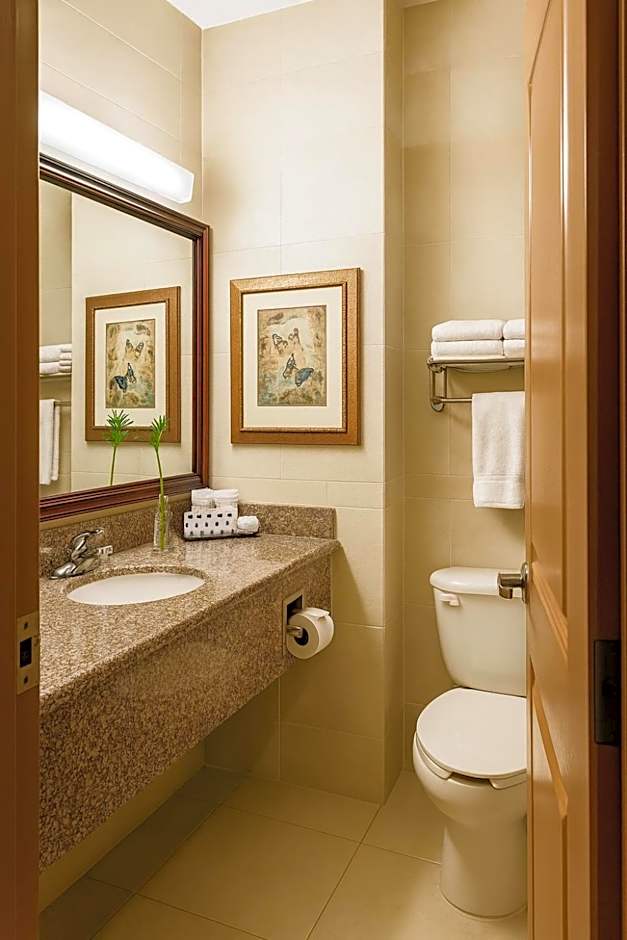 Hodelpa Garden Suites- All Inclusive