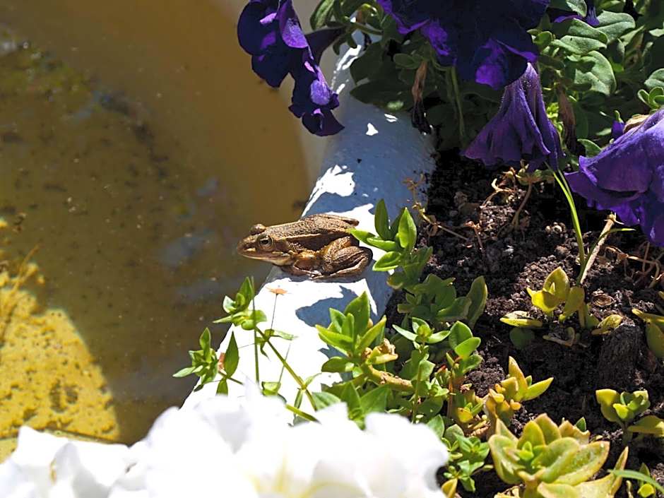 Hotel Club Can Jordi