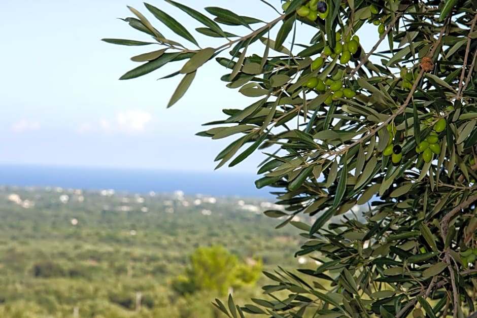 casa relax il trullo