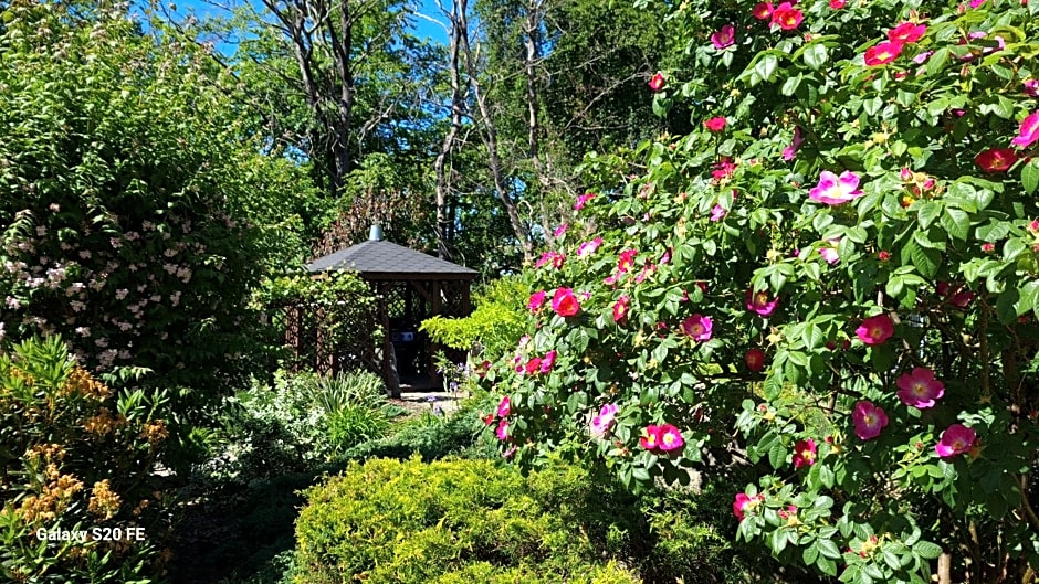 Dom Na Bukowym Wzgórzu