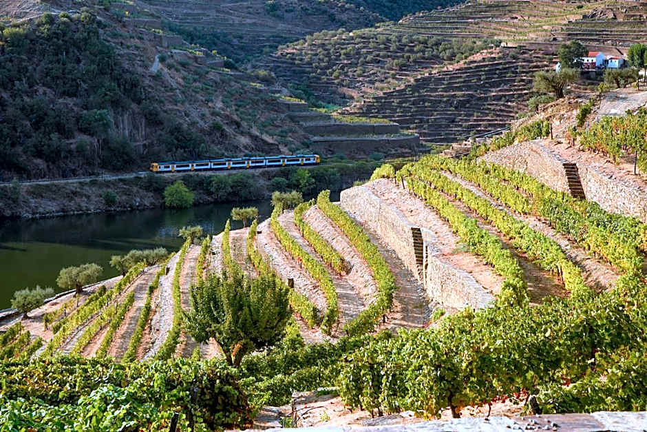 Hotel Rural Quinta Do Pego