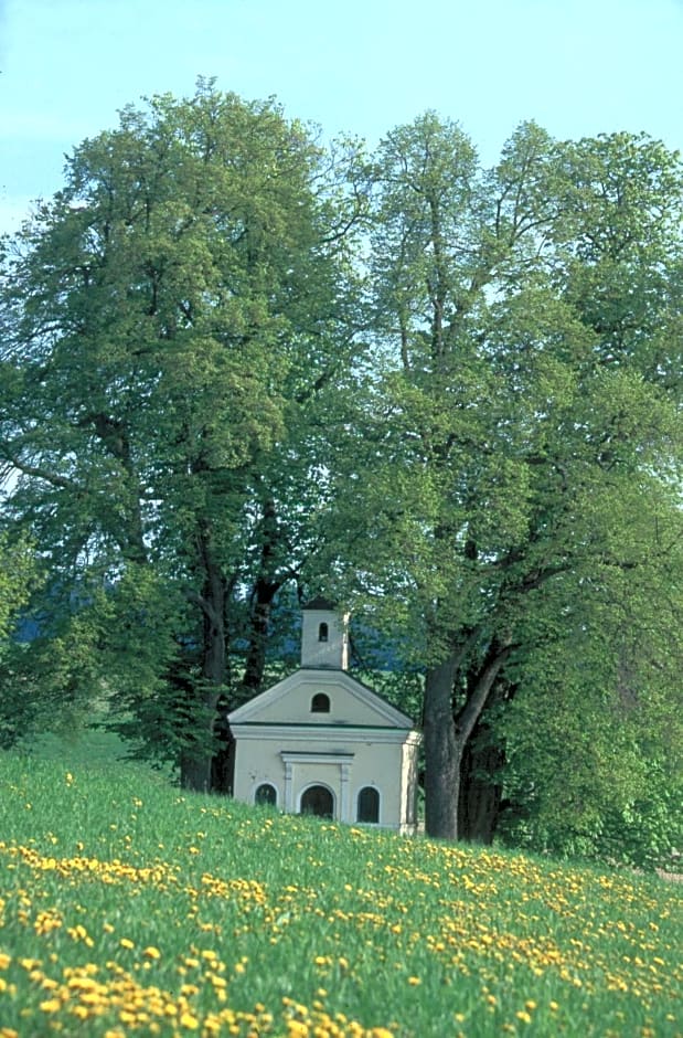 Hotel Birkenhof Therme