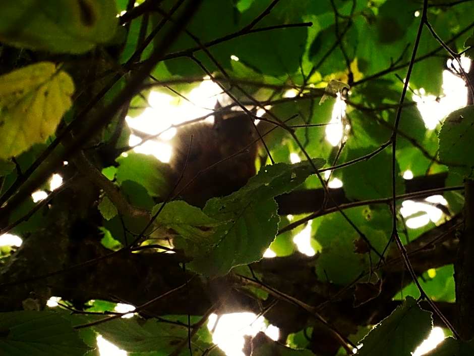 Villa La Clef Des Champs