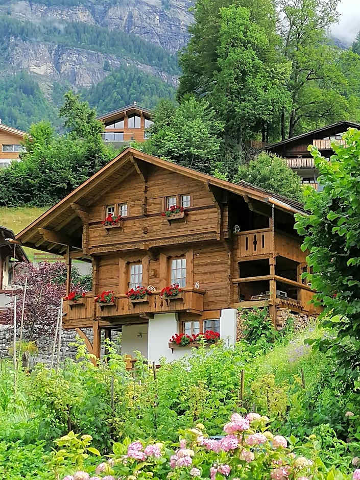 Zdjęcie 1 z 49 — B & B Brienz