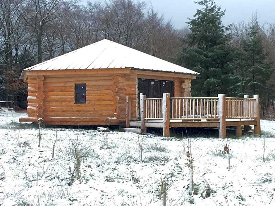 Coed y Marchog Woodland Retreat