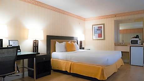 King Room - Non-Smoking