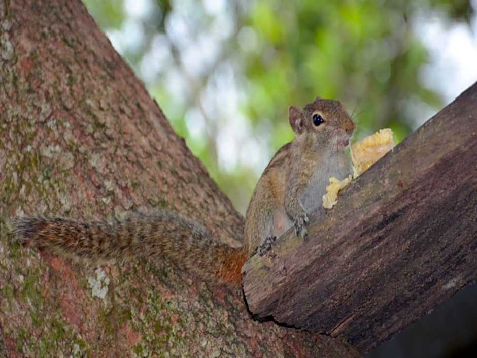 Hikkaduwa Blue Ocean Hotel